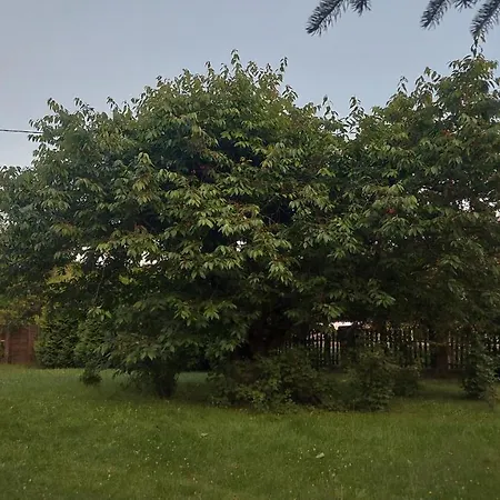 Stokrotka Appartement Lądek-Zdrój