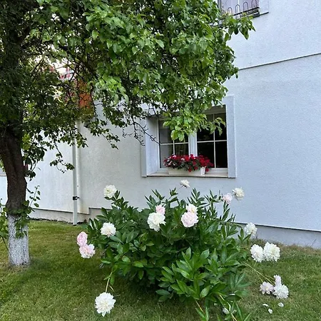 Stokrotka Appartement *