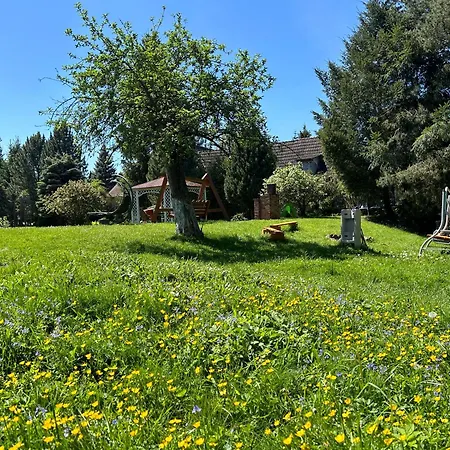 Stokrotka Lądek-Zdrój