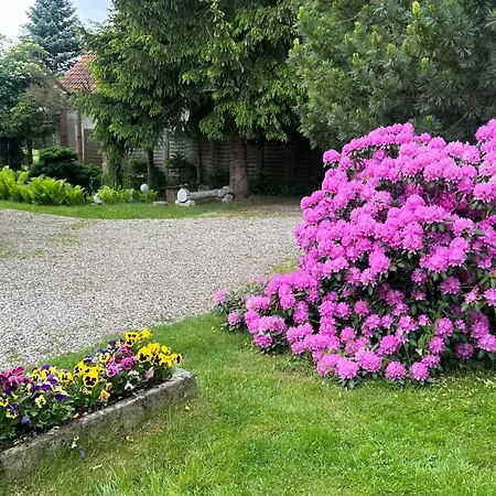 Appartamento Stokrotka *