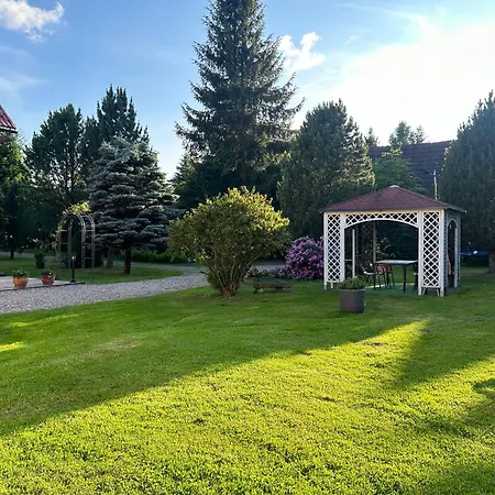 Apartament Stokrotka *