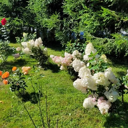 Stokrotka Appartamento *