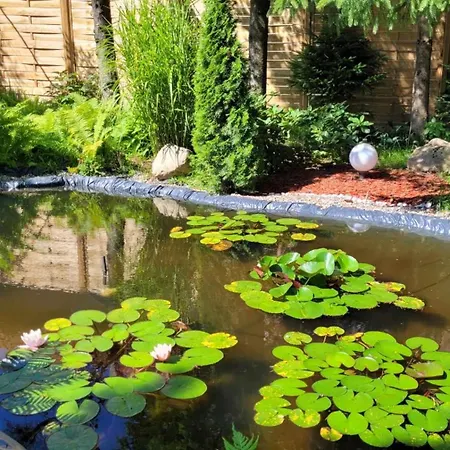 Appartement Stokrotka Lądek-Zdrój