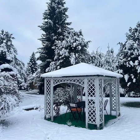 Stokrotka * Lądek-Zdrój