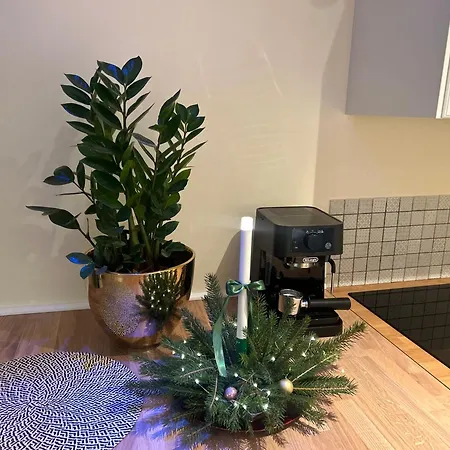 Appartamento Stokrotka *