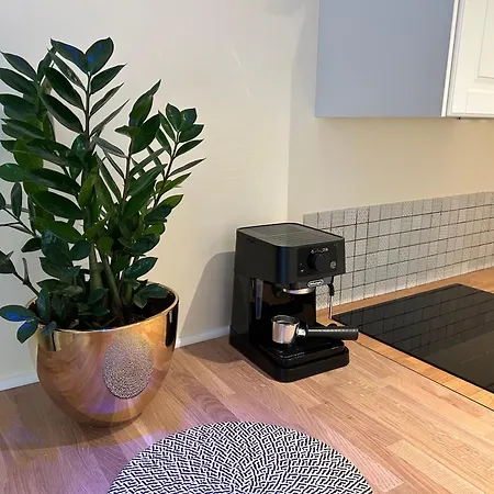 아파트 Stokrotka Lądek-Zdrój