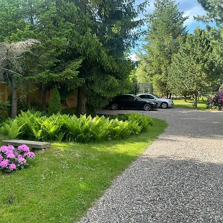 Stokrotka *
