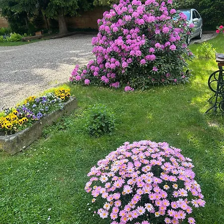 Apartamento Stokrotka Lądek-Zdrój