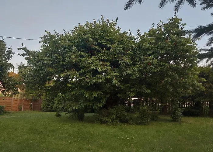 Stokrotka Apartment Ladek-Zdroj