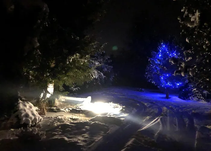 Stokrotka * Ladek-Zdroj