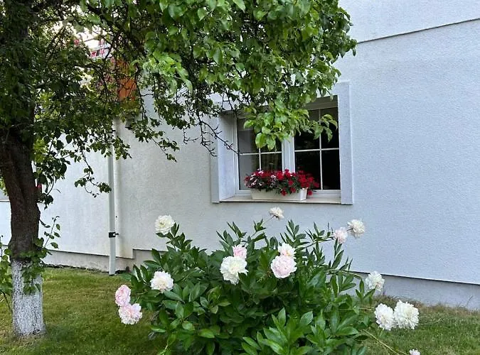 Stokrotka Apartment *