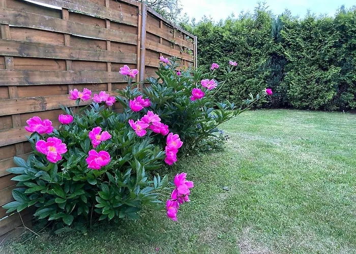 Stokrotka 아파트 *