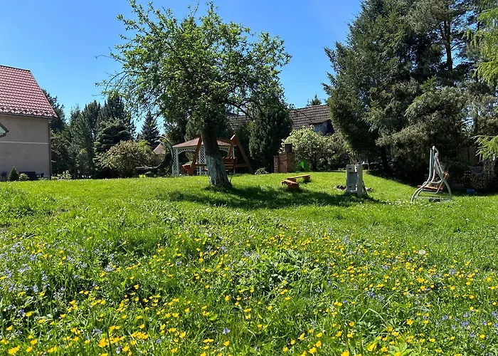 Stokrotka Ladek-Zdroj