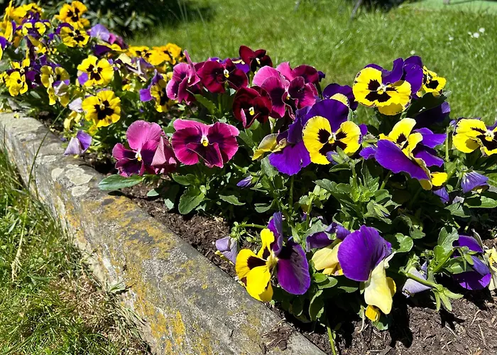 Stokrotka Apartment Ladek-Zdroj