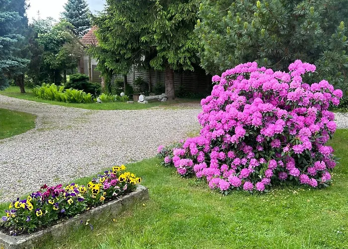 Apartment Stokrotka *