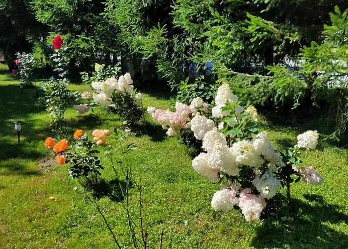 Stokrotka 아파트 *