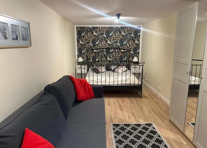 Stokrotka Ladek-Zdroj