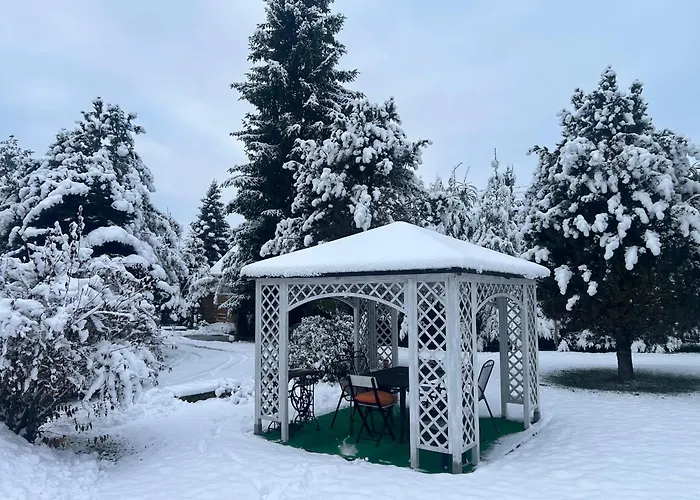 Stokrotka * Lądek-Zdrój