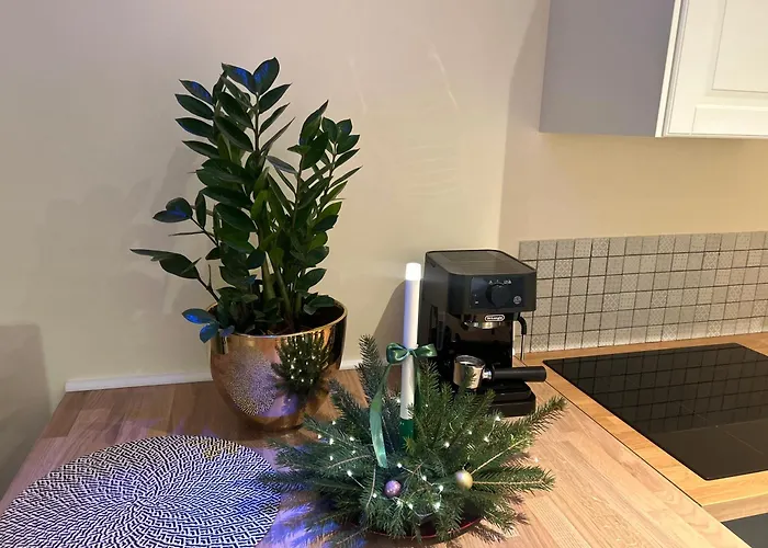 아파트 Stokrotka *