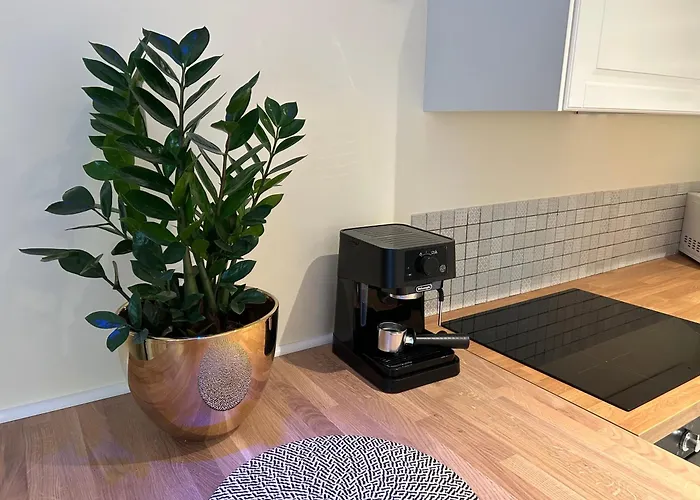 Apartment Stokrotka Ladek-Zdroj